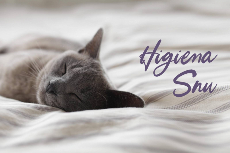 8 zasad Higieny Snu